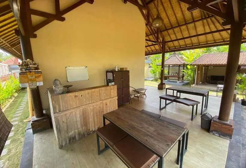 Hotelli Ubud Backpacker Hostel
