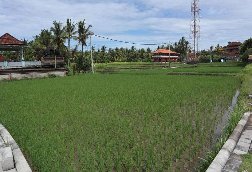 فندق Ubud Backpacker Hostel