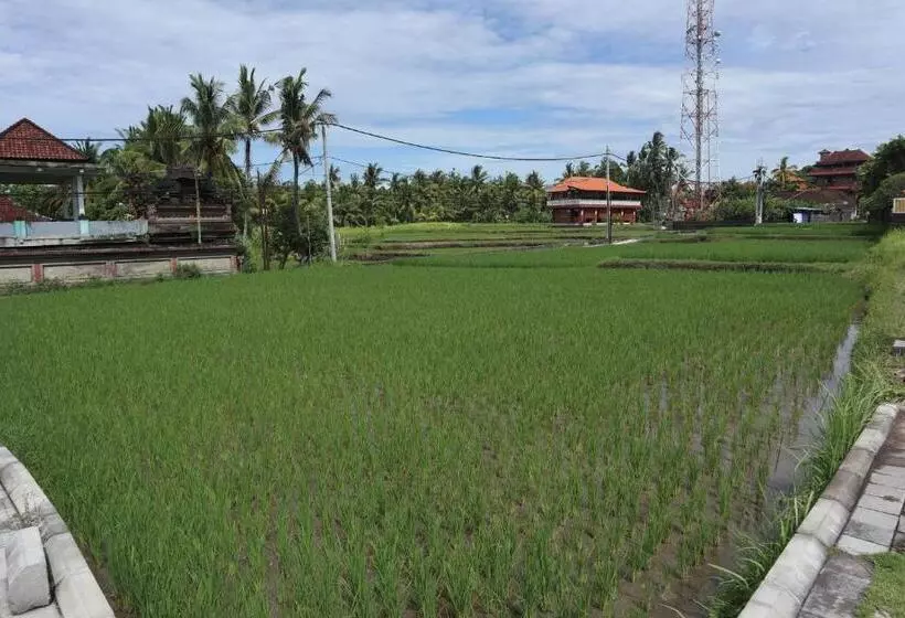 Hotelli Ubud Backpacker Hostel