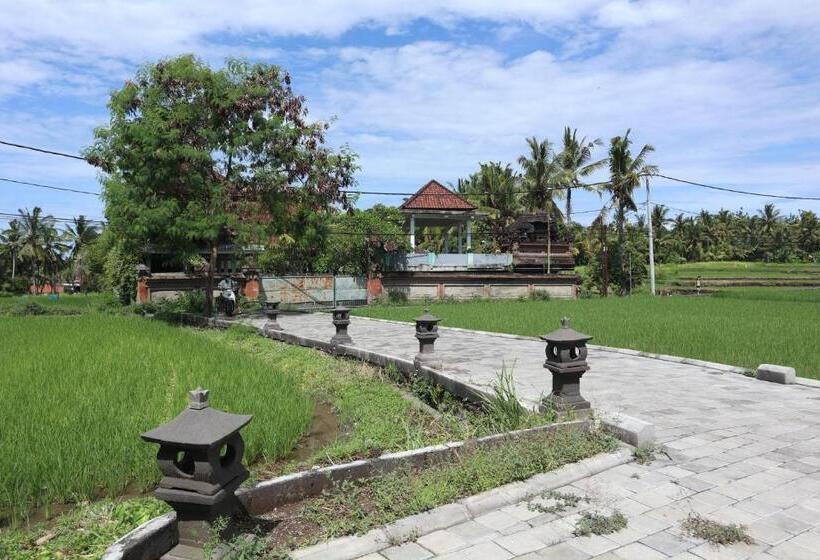 فندق Ubud Backpacker Hostel