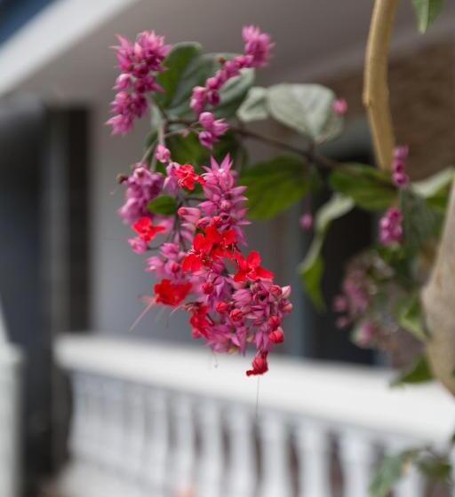 膳宿费 Baliamandarlinghouse