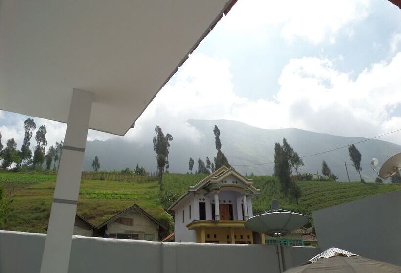 ホテル Savana Guesthouse