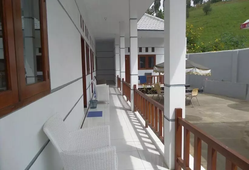 هتل Savana Guesthouse