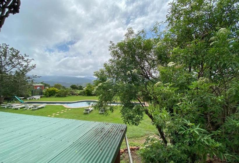 Outeniqua Moon Percheron Stud Farm