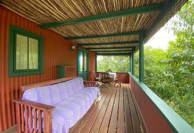 Outeniqua Moon Percheron Stud Farm