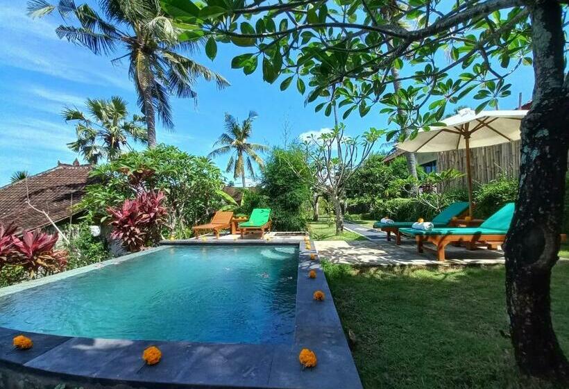 ペンション Frangipani Inn & Restaurant