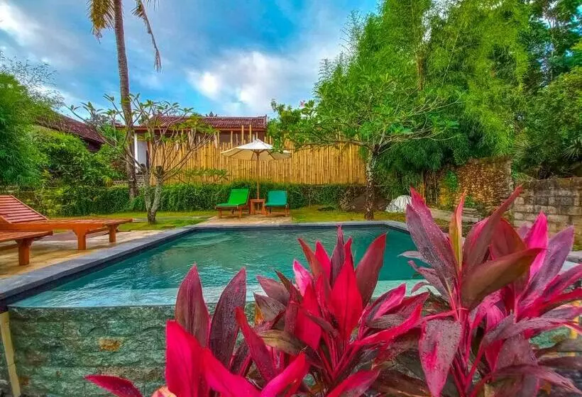 ペンション Frangipani Inn & Restaurant