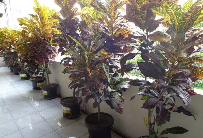 Albergue Griya Surya Solo