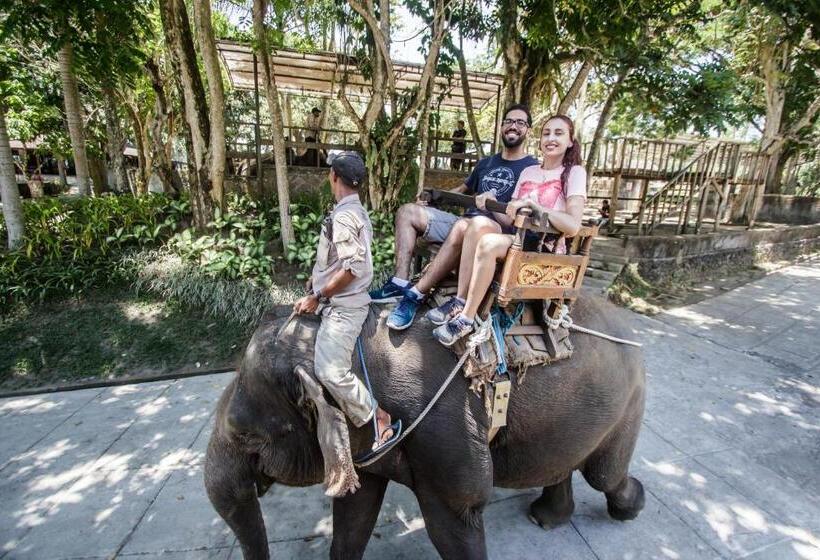 Bed and Breakfast Puri Lumbung Village