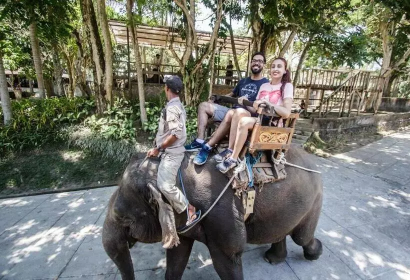 ベッドアンドブレックファースト Puri Lumbung Village