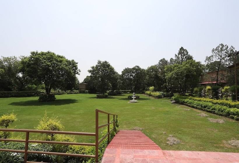 酒店 Blue Lotus Club And Resorts By Oyo Rooms