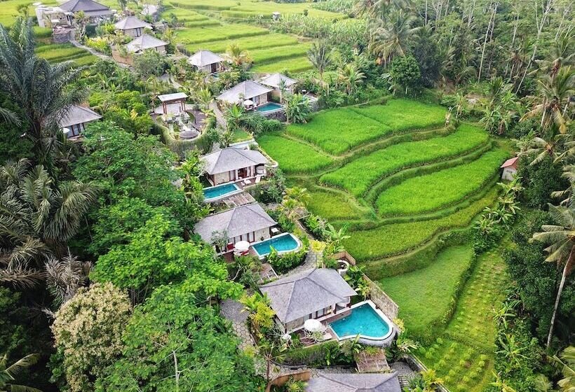 ホテル Nau Villa Ubud