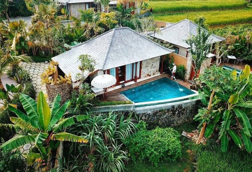 ホテル Nau Villa Ubud