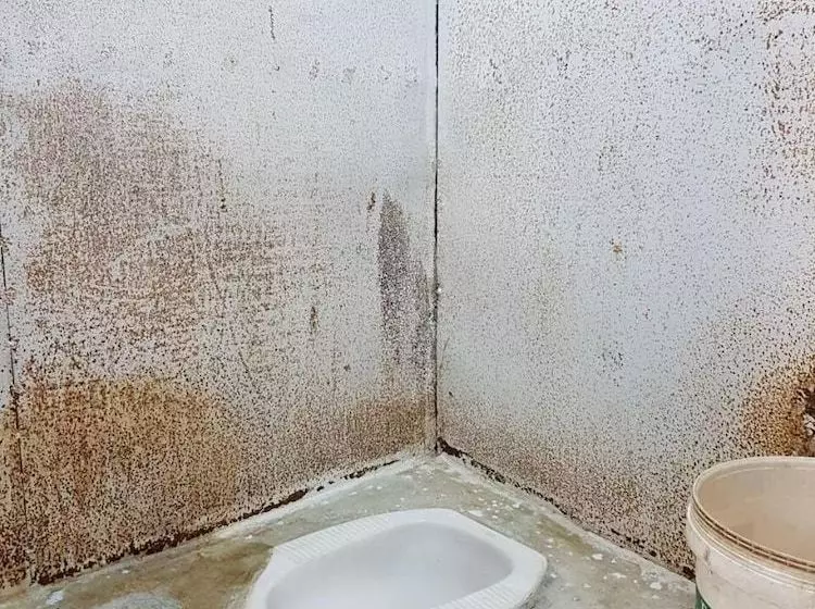 Pension Homestay 007 Dieng