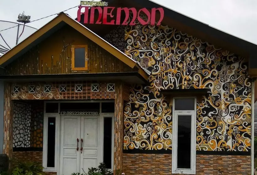 Pension Homestay Anemon