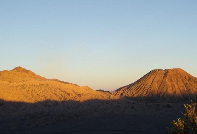 Pansiyon Losmen Setia Kawan I