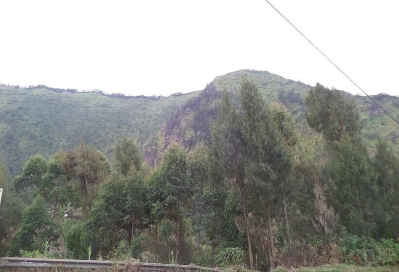 Pansiyon Losmen Setia Kawan I