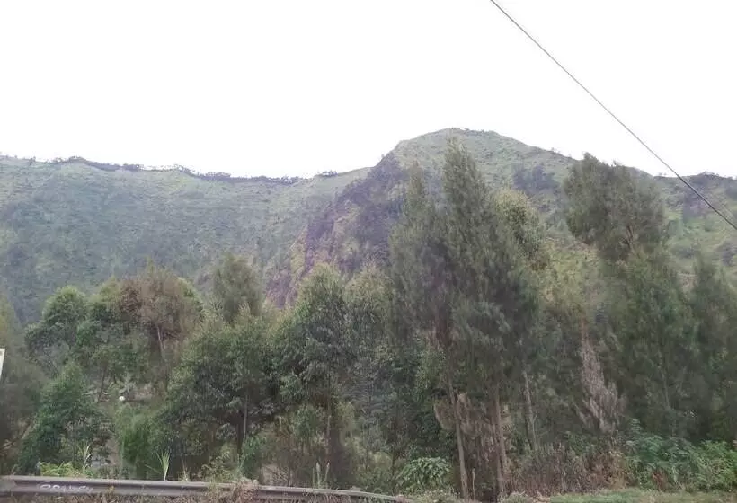 Pansiyon Losmen Setia Kawan I