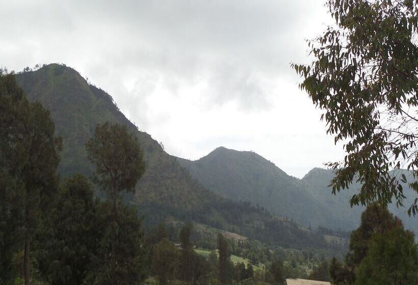 Pansiyon Losmen Setia Kawan I