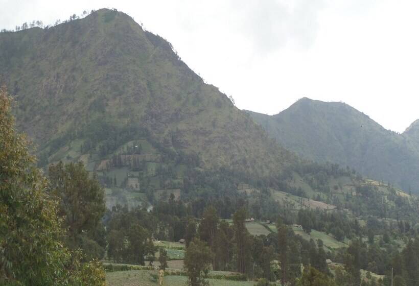 Pansiyon Losmen Setia Kawan I