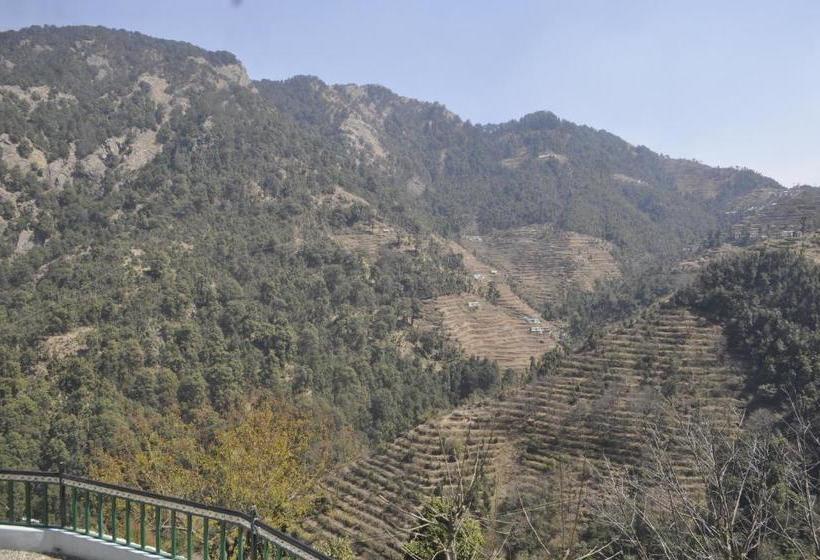 酒店 Garden Cottage