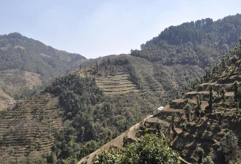 酒店 Garden Cottage