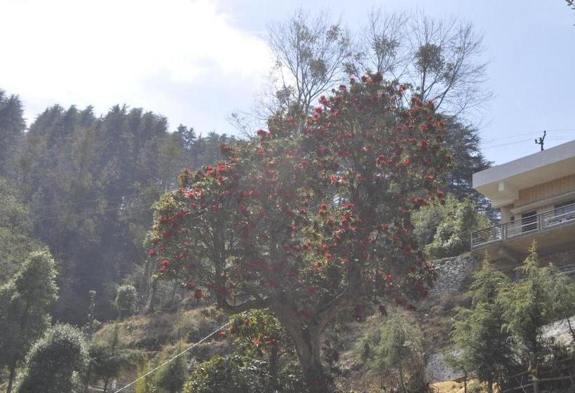 酒店 Garden Cottage