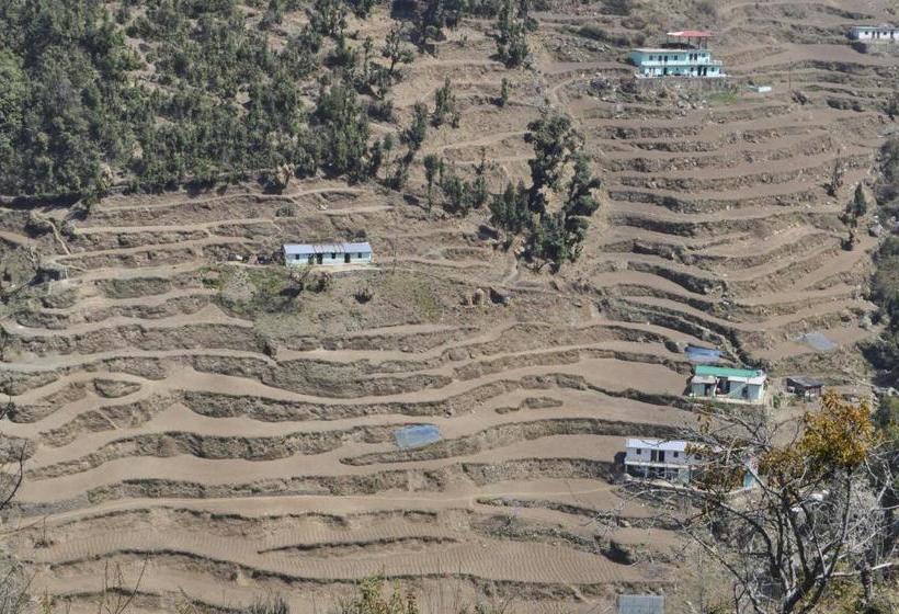 酒店 Garden Cottage