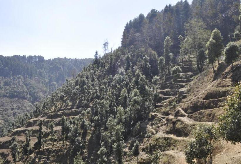 酒店 Garden Cottage