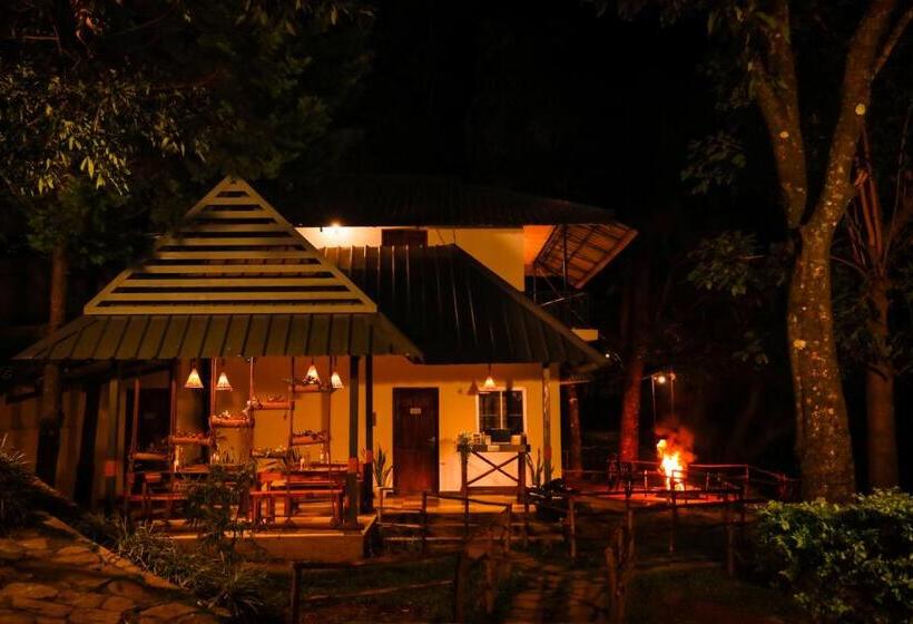 בית מלון כפרי Golden Fern Resort