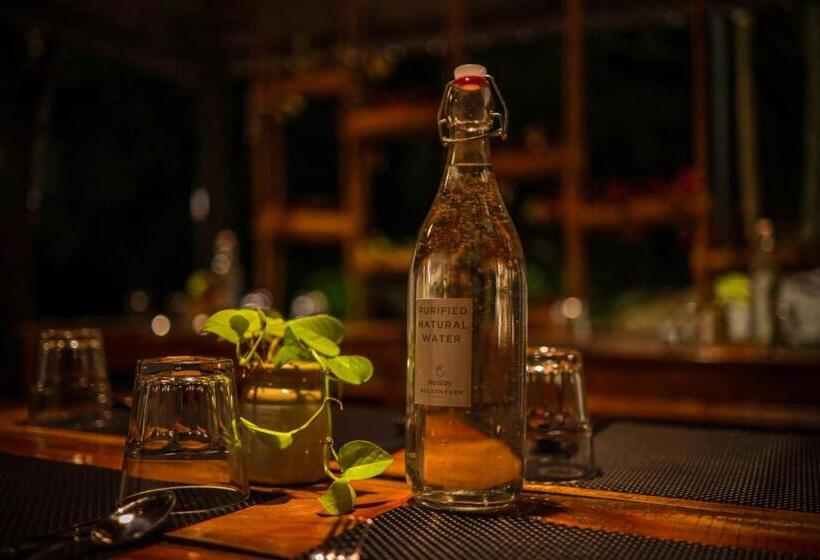 בית מלון כפרי Golden Fern Resort