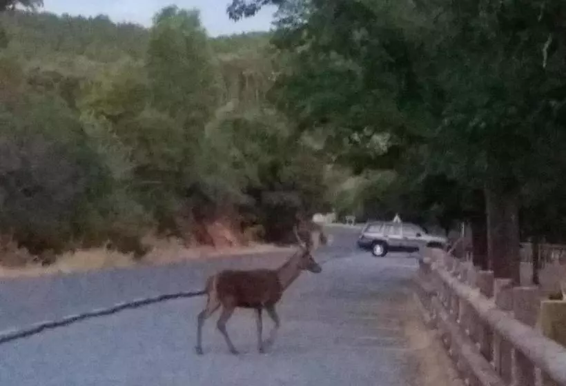 Apartamentos De Astroturismo La Cañada