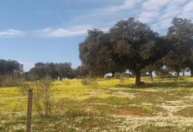 Apartamentos De Astroturismo La Cañada