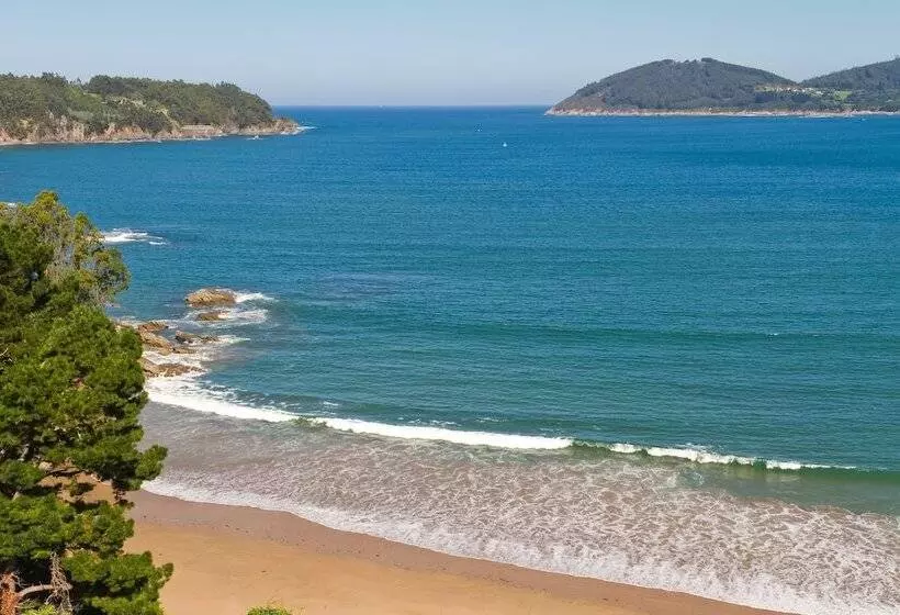 Duerming Park Viveiro