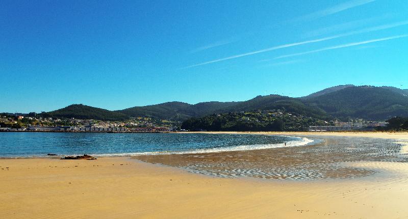 Duerming Park Viveiro