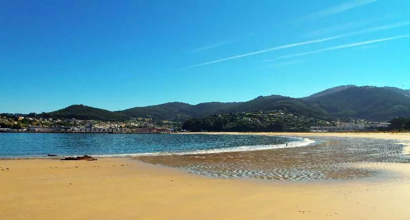 Duerming Park Viveiro