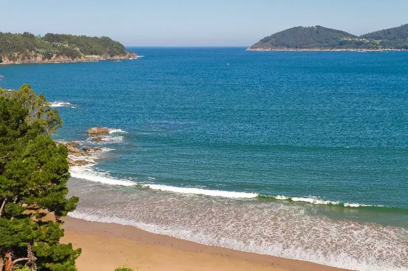 Duerming Park Viveiro