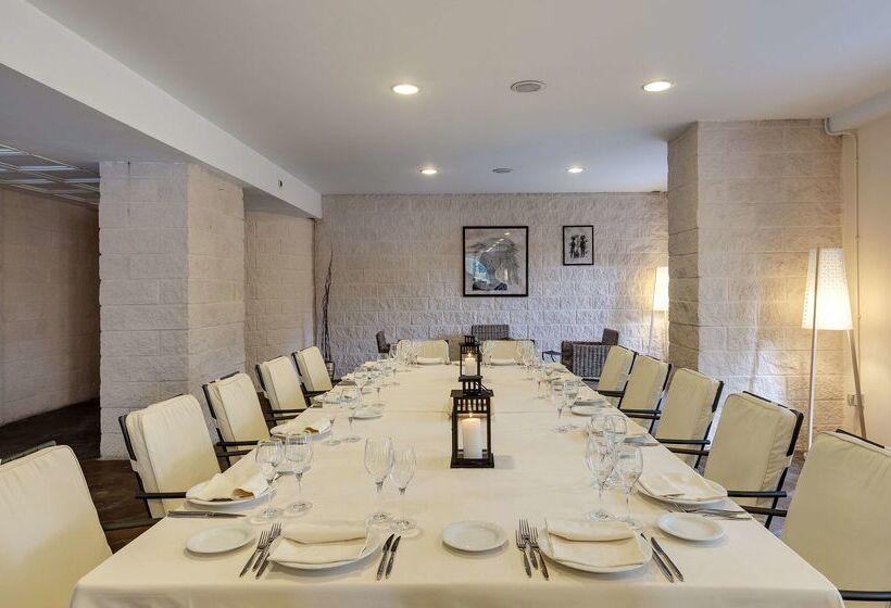 Hotel Occidental Aran Park