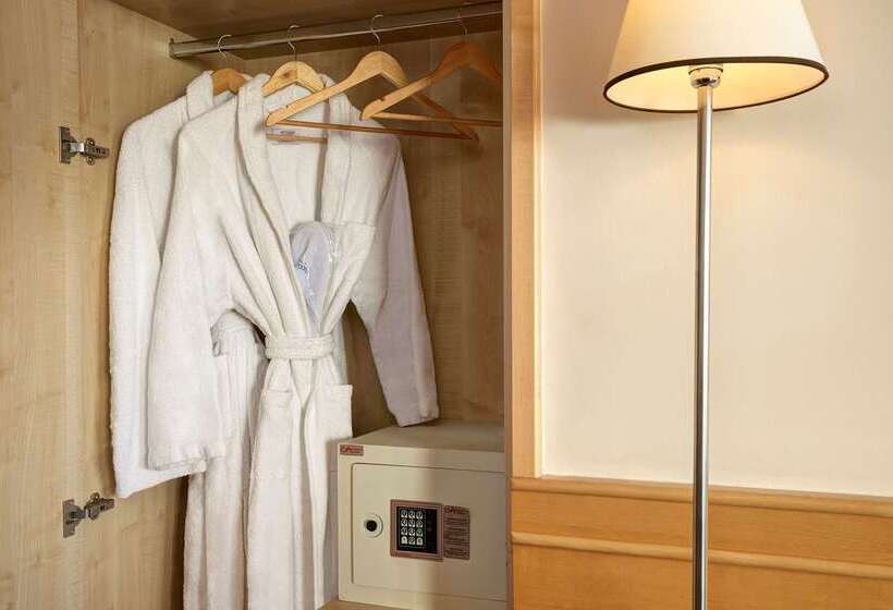 Hotel Occidental Aran Park