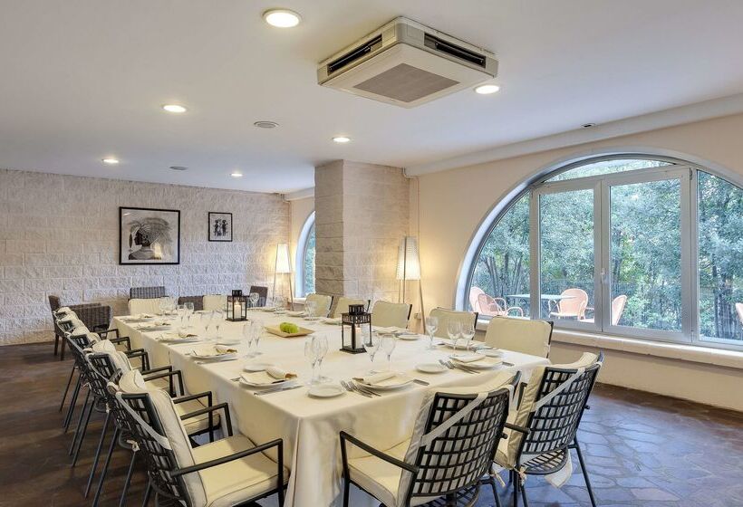 Hotel Occidental Aran Park