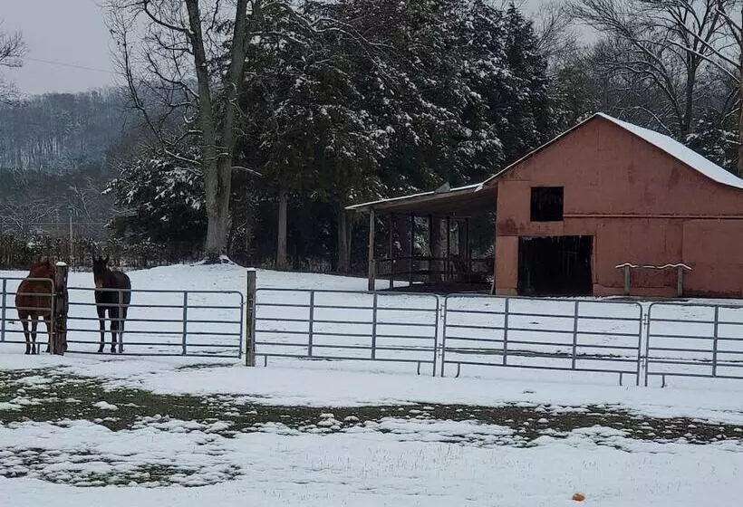 Country Aire Bed & Breakfast