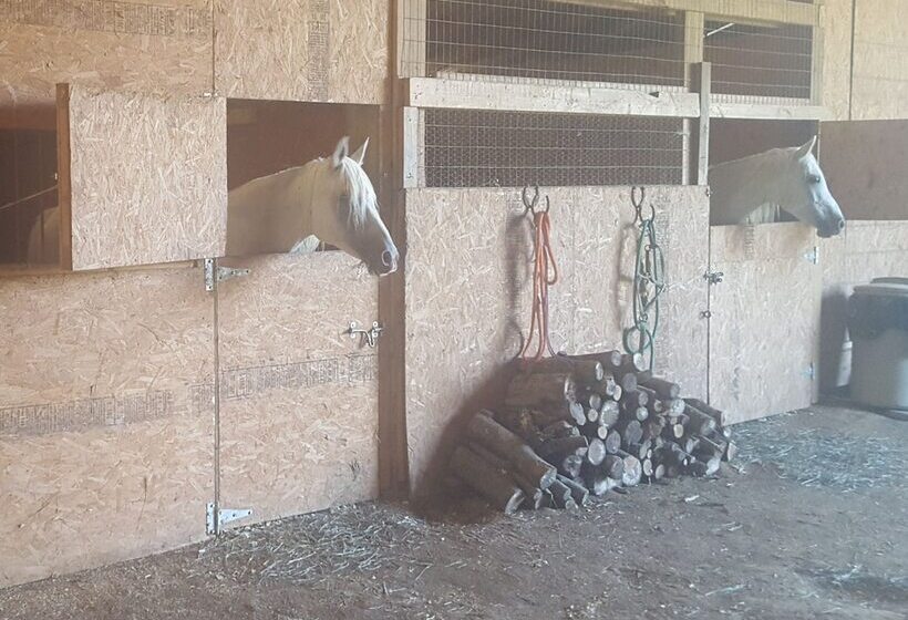 Country Aire Bed & Breakfast