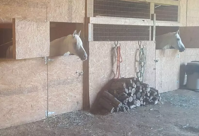 Country Aire Bed & Breakfast