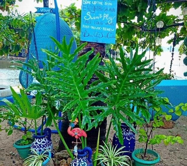 호텔 Bolo Beach Santorini   An Isolated Secluded Private Beach Property