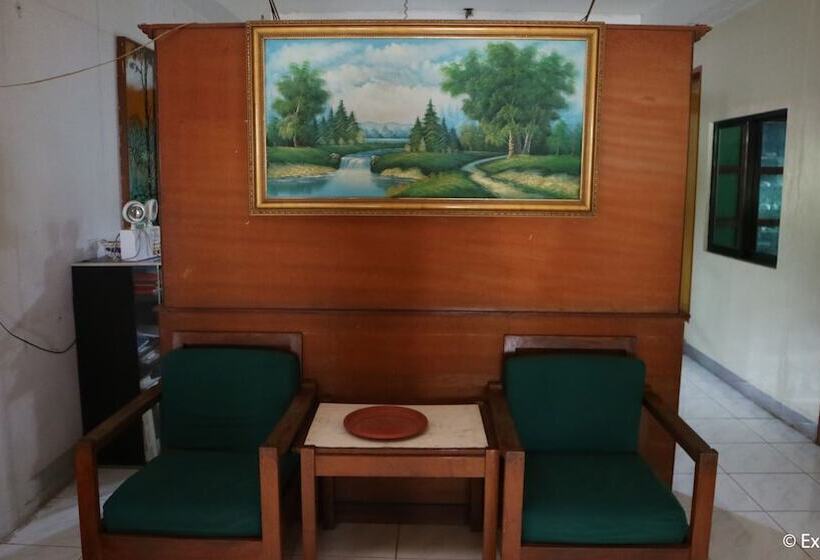 פנסיון Djv Southville Guest House