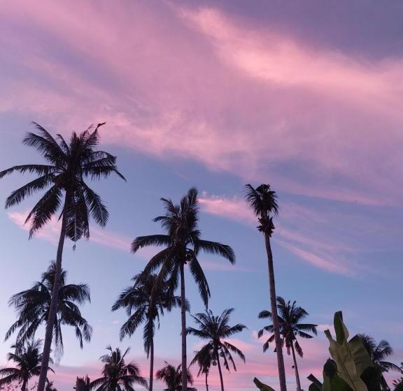 Pensione Russell Place