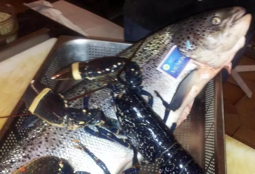 בית מלון כפרי Aurelia