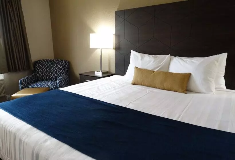 Szálloda Best Western Snowflake Inn