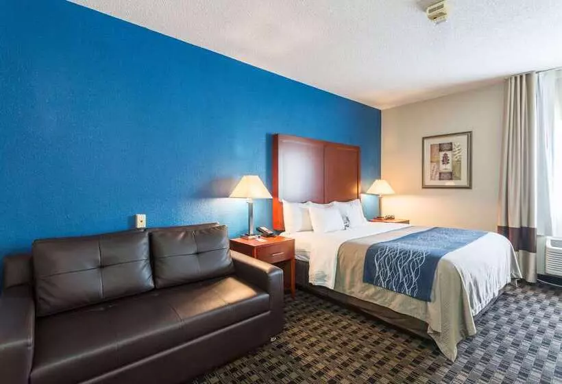 酒店 Comfort Inn Decatur Priceville