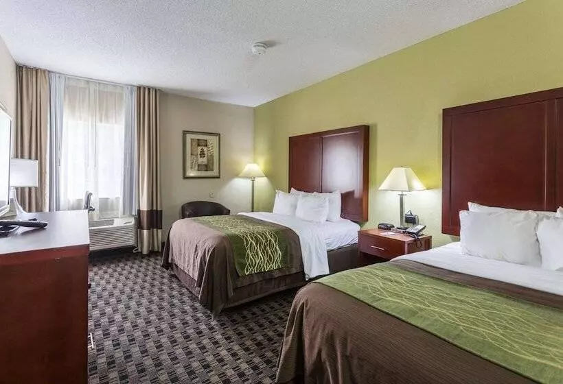 酒店 Comfort Inn Decatur Priceville